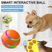 balle interactive pour chien 1