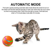 balle interactive pour chien 2