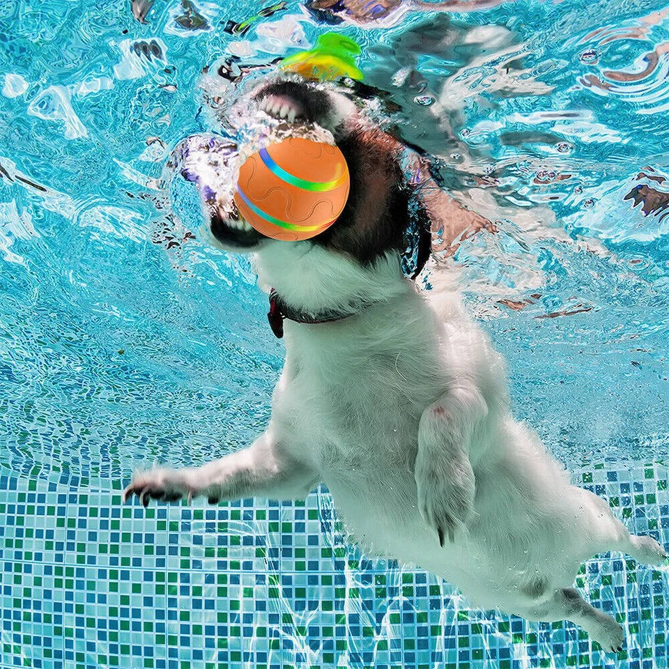 balle interactive pour chien 6