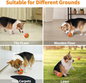 balle interactive pour chien 7