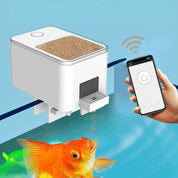 distributeur automatique de poissons 7