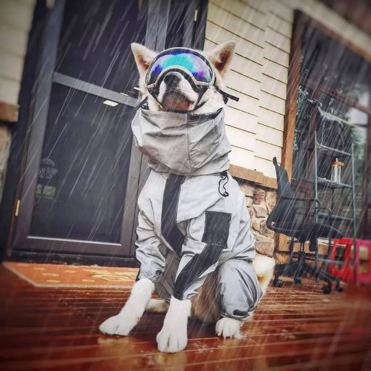 imperméable pour chiens 1
