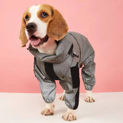 imperméable pour chiens 5
