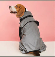 imperméable pour chiens 6
