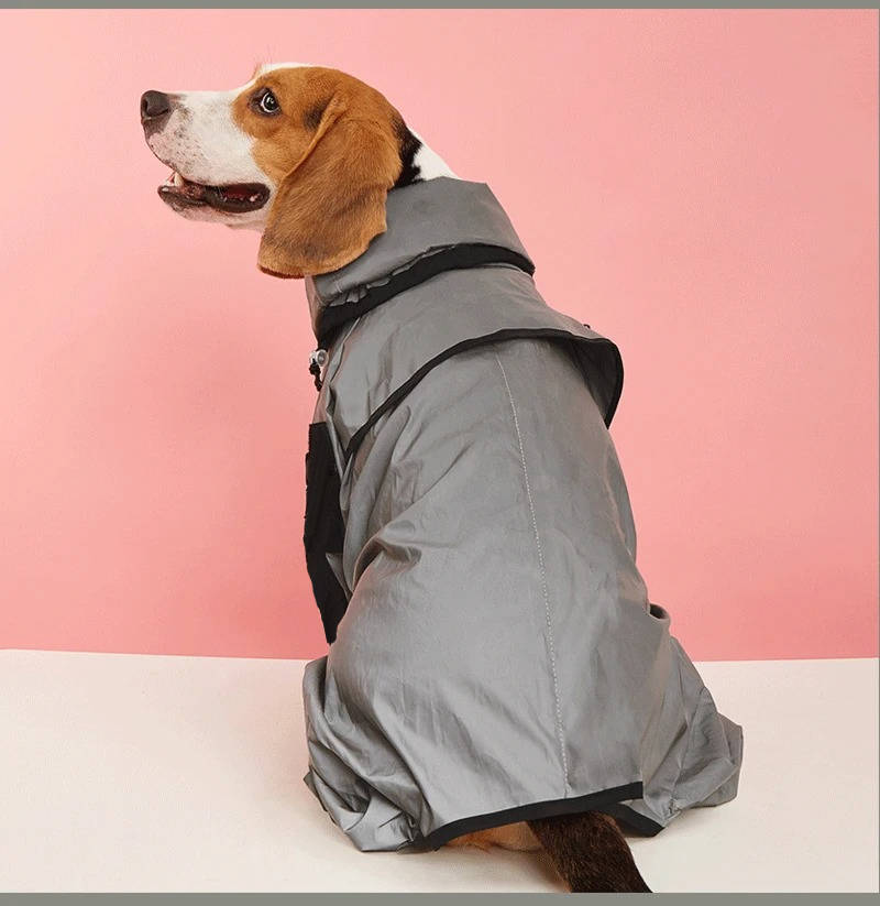 imperméable pour chiens 6