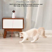 jouet laser pour chat 5
