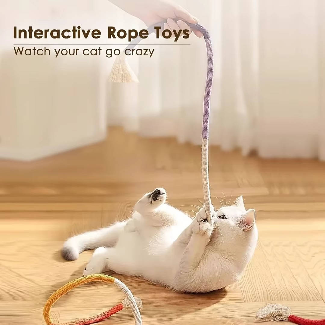 jouets à mâcher pour chats 1