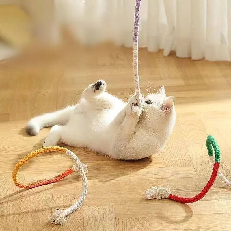 jouets à mâcher pour chats 5