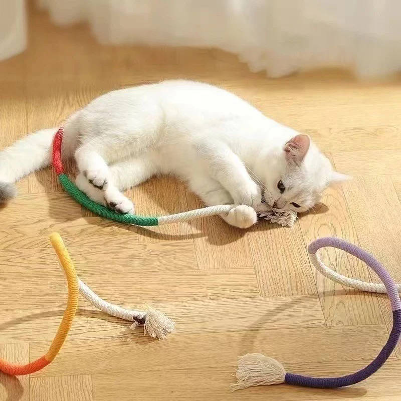 jouets à mâcher pour chats 6