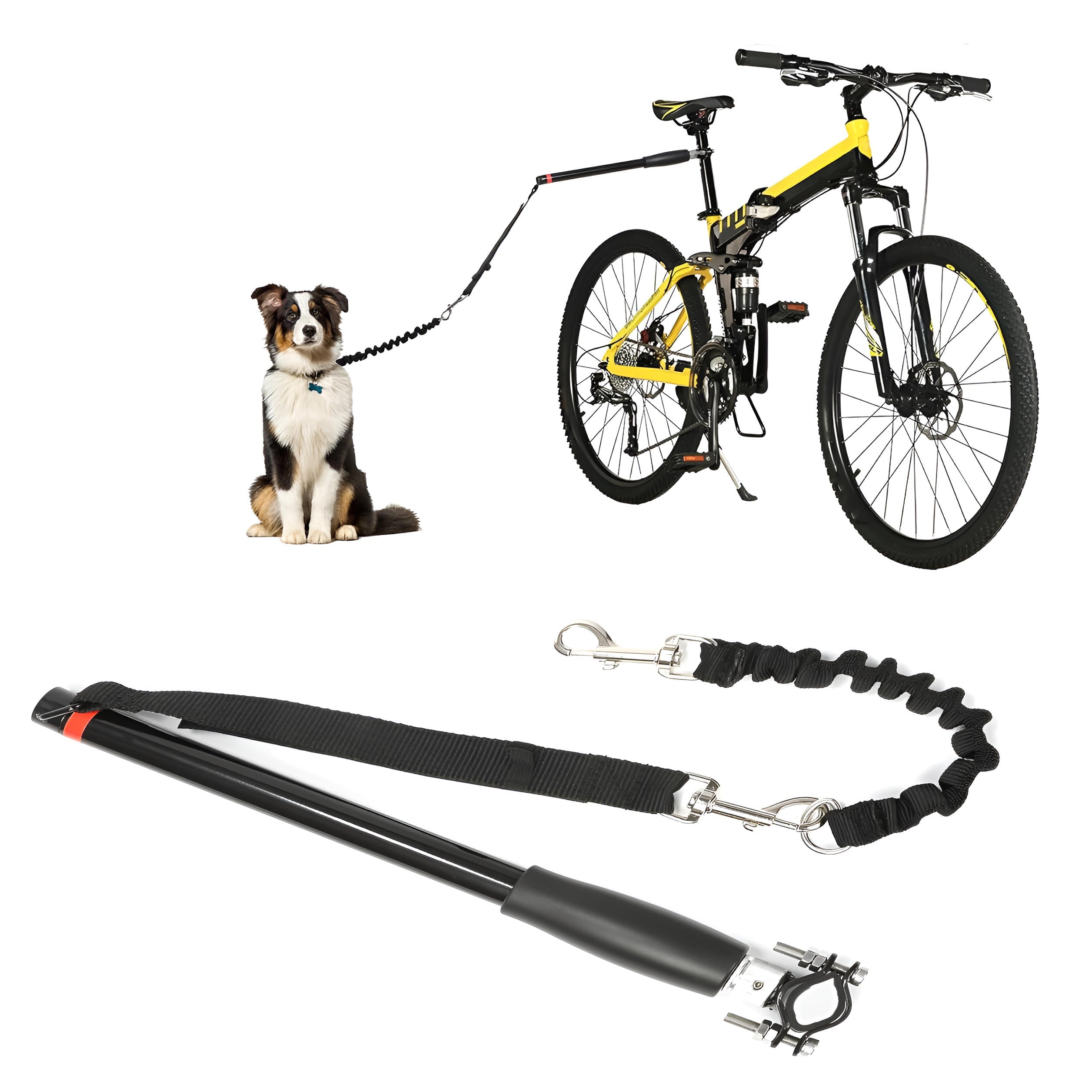 laisse pour chien à vélo 0
