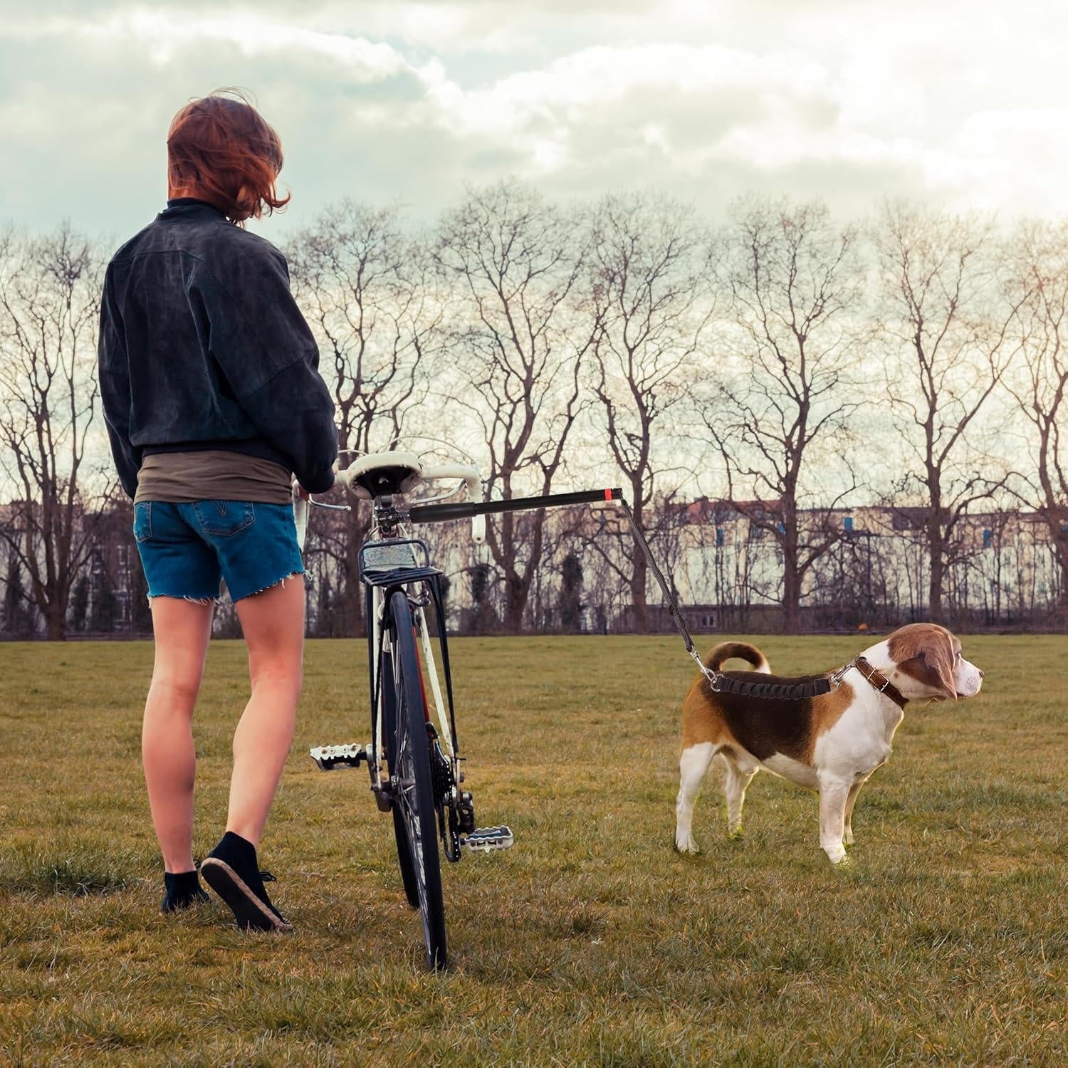 laisse pour chien à vélo 5
