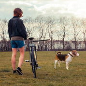 laisse pour chien à vélo 5