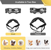 lunettes de sécurité pour chiens 3