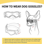 lunettes de sécurité pour chiens 4