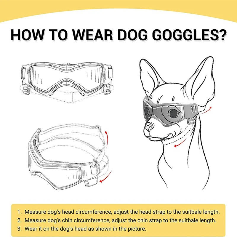lunettes de sécurité pour chiens 4