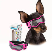 lunettes de sécurité pour chiens 6