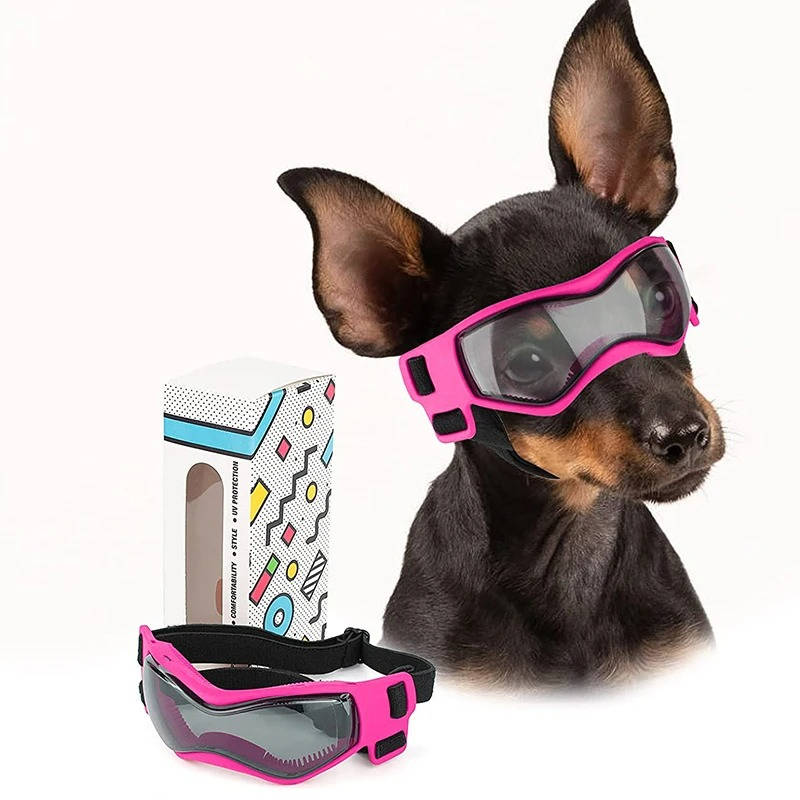 lunettes de sécurité pour chiens 6