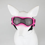 lunettes de sécurité pour chiens 7