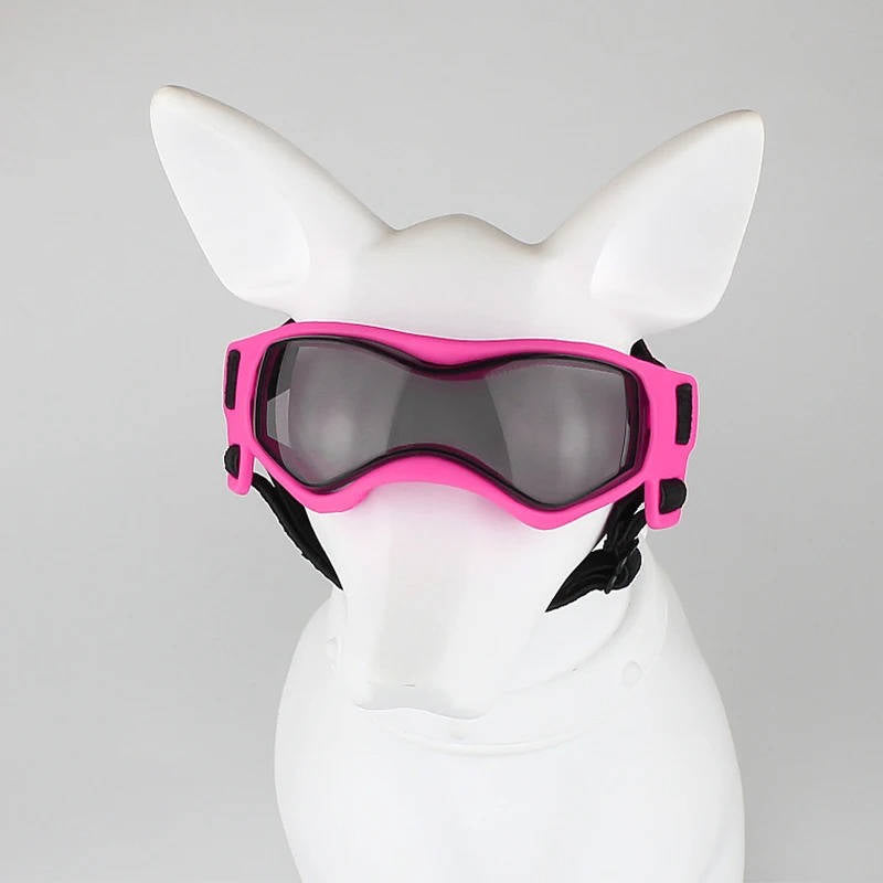 lunettes de sécurité pour chiens 7