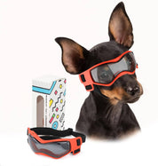 lunettes de sécurité pour chiens 8